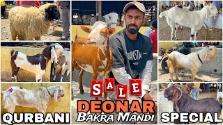 Deonar bakra mandi latest update 2024  Qurbani live goats [upl. by Gomar]