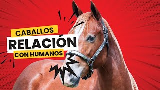 Caballos y su Relación con el Ser Humano a lo Largo de la Historia [upl. by Rasaec]