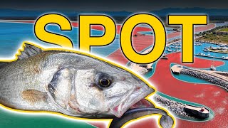 Nello SPOT GIUSTO al POSTO GIUSTO  Spinning alla Spigola [upl. by Cogen]