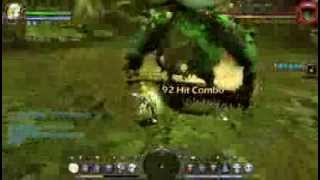 Dragon Nest Shooting Star LV 50  Archbishop Nest [upl. by Kitchen957]