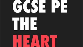 Gcse Pe 5 a day revision vol 15 The heart [upl. by Calendra174]