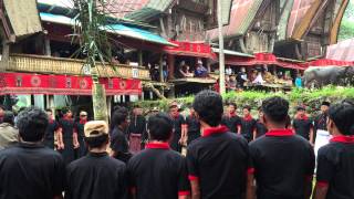 Mabadong in kampung Sumpia Tana Toraja [upl. by Ettenauq]