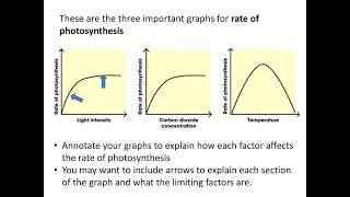Limiting factors of Photosynthesis and Introduction Of Excretion and Osmoregulation by JJS Sir [upl. by Sulrac831]