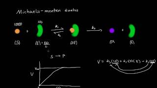 MichaelisMenten Derivation All Steps [upl. by Kay]