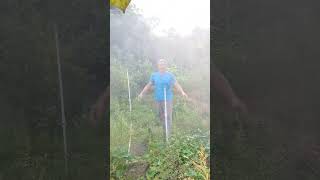 Hydraulic driven rotating threepronged sprinkler agricultural sprinkler for watering vegetable [upl. by Talie342]