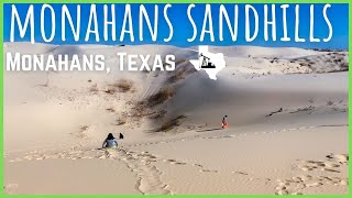 Monahans Sandhills  Texas State Parks [upl. by Aleahpar787]