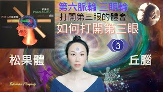 29）如何打開第三眼  第六脈輪三眼輪 松果體、丘腦和第三眼的關係  強勢打開第三眼的方法  How to open your third eye [upl. by Enelhtak]