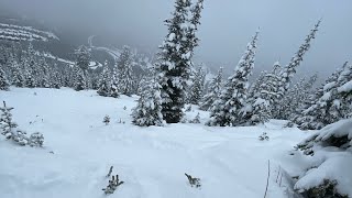 Powder Snowboarding [upl. by Rocky]