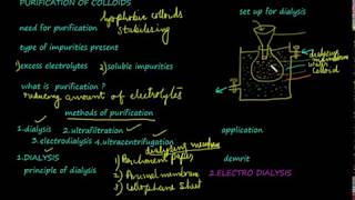 Dialysis purification of colloids class 12 chemistrysurface chemistryvideo 14 [upl. by Klenk]