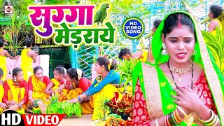 छठ पूजा गीत 2024  सुगा मेड़राये  Kiran Kashyap  Suga Medray  Chhath Puja Song  Chhath Geet [upl. by Kyriako2]