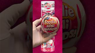 Opening The FOODIE Mini Brands Series 2  Whats Inside [upl. by Issak]