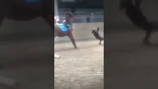 TW Ale to jest rel Czekam na spłakane piłkarzyki fypシ゚viral horsing fans equestrian horsy [upl. by Greiner]