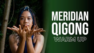 The Meridian Qigong For Beginners 🧘  Quick amp Easy Guide 💫 [upl. by Ishii207]