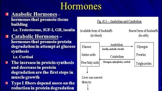 Anabolic Hormones [upl. by Ettellocin]