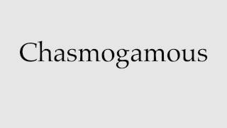 How to Pronounce Chasmogamous [upl. by Kowatch]