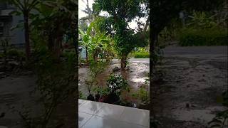 ⛈️⛈️⛈️ shots suasanapedesaan sorehari [upl. by Ahon]