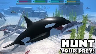 Ultimate Ocean Simulator by Gluten Free Games  Part 1  Android Gameplay HD [upl. by Yllrebmik]