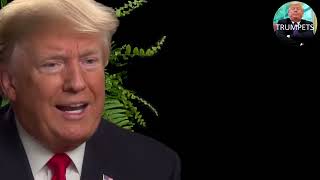 Between two Ferns Trump amp Zach Galifianakis [upl. by Edak894]