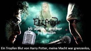 Erzfeinde – Lord Voldemort amp Harry Potter feat Dumbledore der märz hase Official Lyric Video [upl. by Urial]