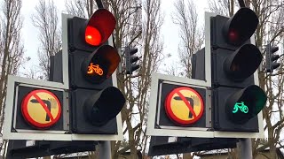 Rare Microsense Cycle Traffic Lights on Gonville Place Cambridge [upl. by Varden]