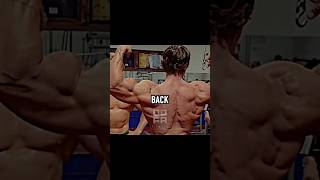 ARNOLDs Top back exercise gymmotivation viral short 🔥🔥 [upl. by Eityak165]