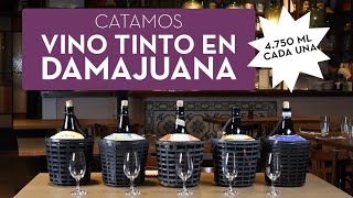 Cata de Vino Malbec Argentino en Damajuanas [upl. by Beaudoin]