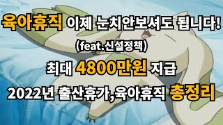 휴직하면서 최대 4800만원 받기 2022년 출산휴가 육아휴직 총정리 [upl. by Damon]