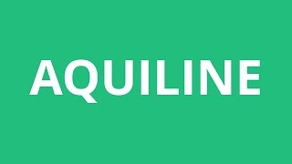 How To Pronounce Aquiline  Pronunciation Academy [upl. by Fesuy]