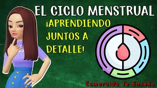 🩸La Menstruación y su Ciclo Menstrual🔄 [upl. by Dabney]