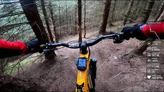 Golfie Trails  TreVoR  MTB Scotland [upl. by Hadria]