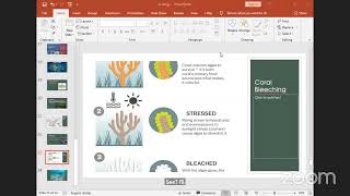 MCP 2025  Geography  23052024  Ecology Part 2 [upl. by Nosyrb]