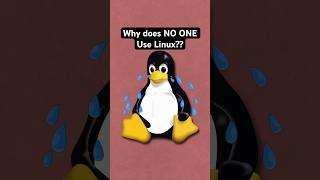 Why does NO ONE use Linux [upl. by Arebma]