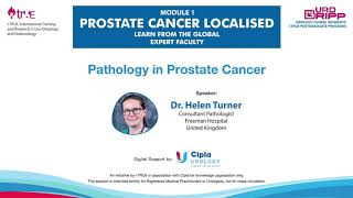 UroGRIPP Pathology in Prostate Cancer  Dr Helen Turner [upl. by Binette]