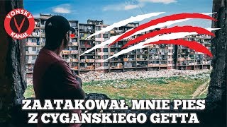 ZAATAKOWAŁ MNIE PIES Z CYGAŃSKIEGO GETTA 4k [upl. by Nigem]