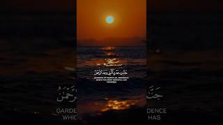 Abdul Rahman Mossad  Quran Ki Tilawat  Beautiful Voice shorts quranrecitationshorts [upl. by Port]