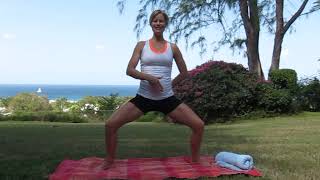 Pilates For pregnancy  MONTH FIVE  Second Trimester [upl. by Hulbert]