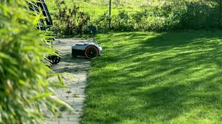 Segway Navimow i105e edge cutting [upl. by Idzik]