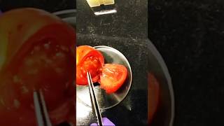 Fresh tomato under the microscope I lets zoom it [upl. by Ahsinak470]