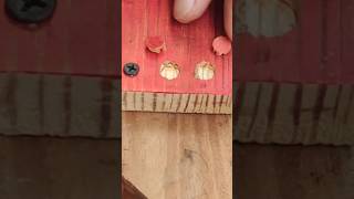 Covering the screw head using a small piece of broken antenna diy carpentry tips woodworking [upl. by Boucher]