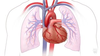 Mayo Clinic Minute What is heart disease [upl. by Nnahgiel]