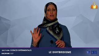 Section Sciences Expérimentales SVT Dihybridisme [upl. by Lyrahs]