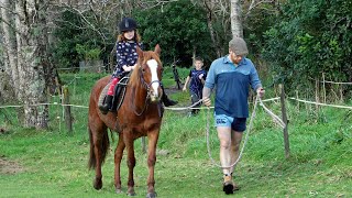 Pony Sunday with our Kaimanawas  Kapiti New Zealand [upl. by Cristi341]