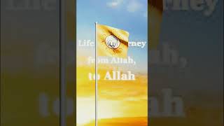 Allah ke Tumi mon theke valo basle subscribe islamic shorts viralvideo viral [upl. by Swihart985]