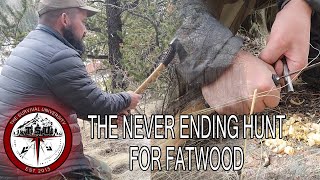 How to find fatwood [upl. by Llenor]