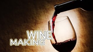 How To Make Wine  The Best [upl. by Auqinat305]