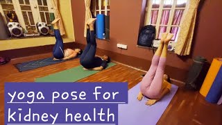 UTTANA PADASANA  YOGA POSTURE  RAISED LEG POSTURE FOR KIDNEY HEALTH [upl. by Edlyn439]