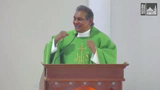 Homily English  17th Sunday in Ordinary Time [upl. by Watkin]