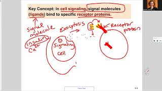 181 Ch9 Cell Signaling Overview [upl. by Seale]