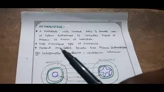 STELAR EVOLUTION IN PTERIDOPHYTES FOR BSC [upl. by Claudianus376]