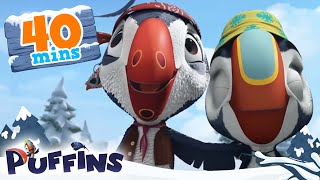 Puffins  40 min  Fun Adventures Await  Cartoon For Kids  Puffins World [upl. by Leamse228]